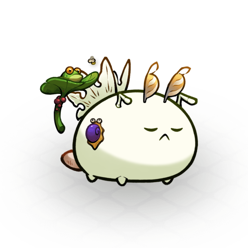 gamesENsnips's tweet photo. Codex S1: Song of the Soil Collection Complete

Although S1 has already gained more traction compared to S0. From a marketing perspective what a miss opportunity that they didn't show in Atia's Legacy Playtest 2

#codexseason1songofthesoil
@AxieInfinity @Jihoz_Axie https://t.co/aA1w7IA9Xs