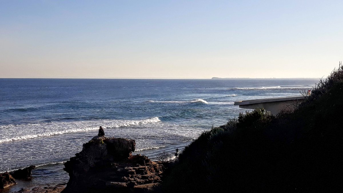 James_Hawke1's tweet image. Why would a rational person believe in things?

Learn to distinguish that which you can verify and that which you cannot.

*belief is a state of uncertainty.
#matrix #mind #control #systems