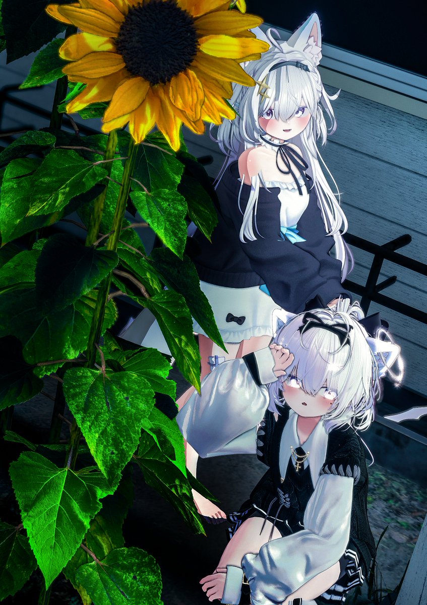 ばも@VRC tweet media