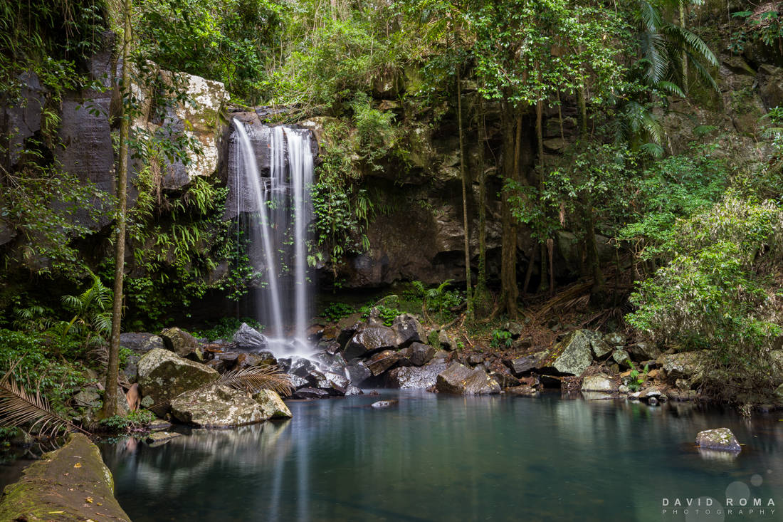 davidromaphoto's tweet image. Curtis Falls - Tamborine Mountain

A 1.3 second exposure was long enough to capture these spectacular falls, just a short walk from the carpark.

#curtisfalls #waterfall #rainforest #tamborineMountain