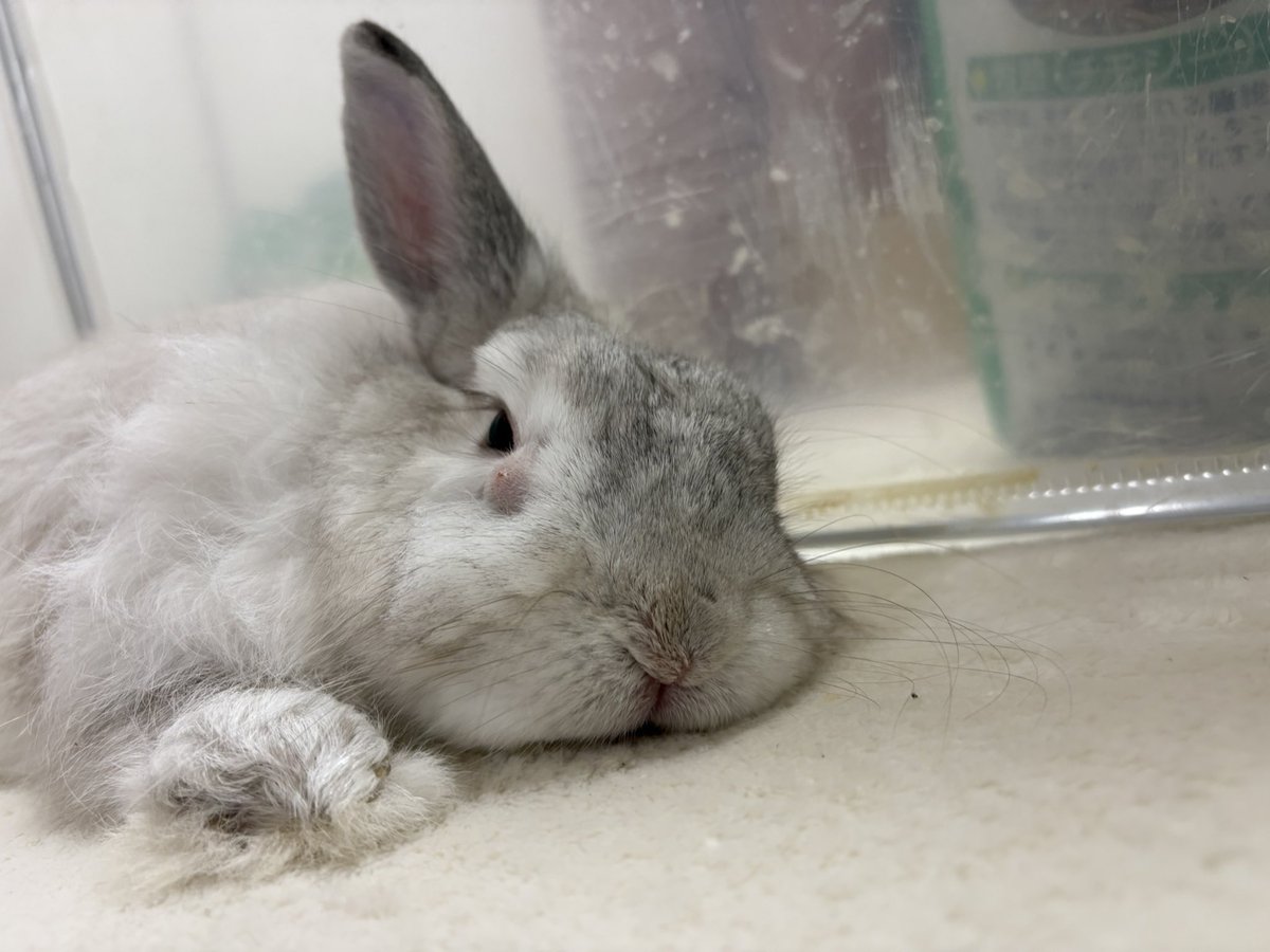 ＥＲＩ tweet media