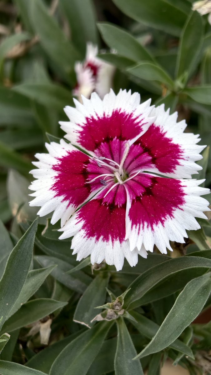 D_Oldmonk tweet media