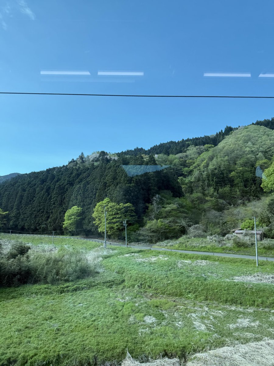 Happy Mania tweet media