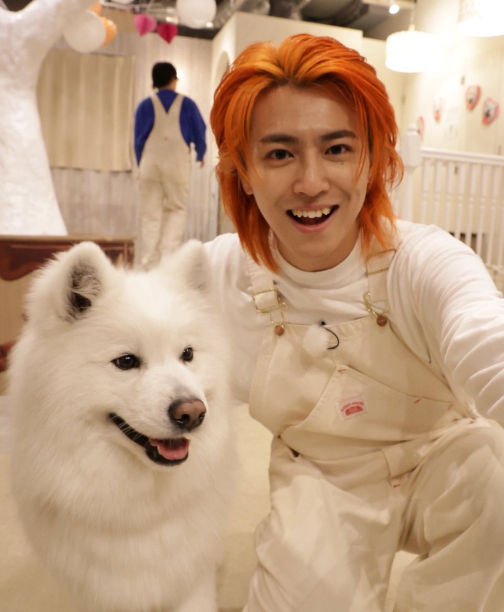 みさと tweet media