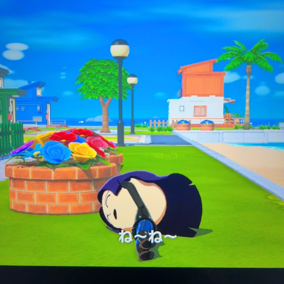 お米おいしい tweet media