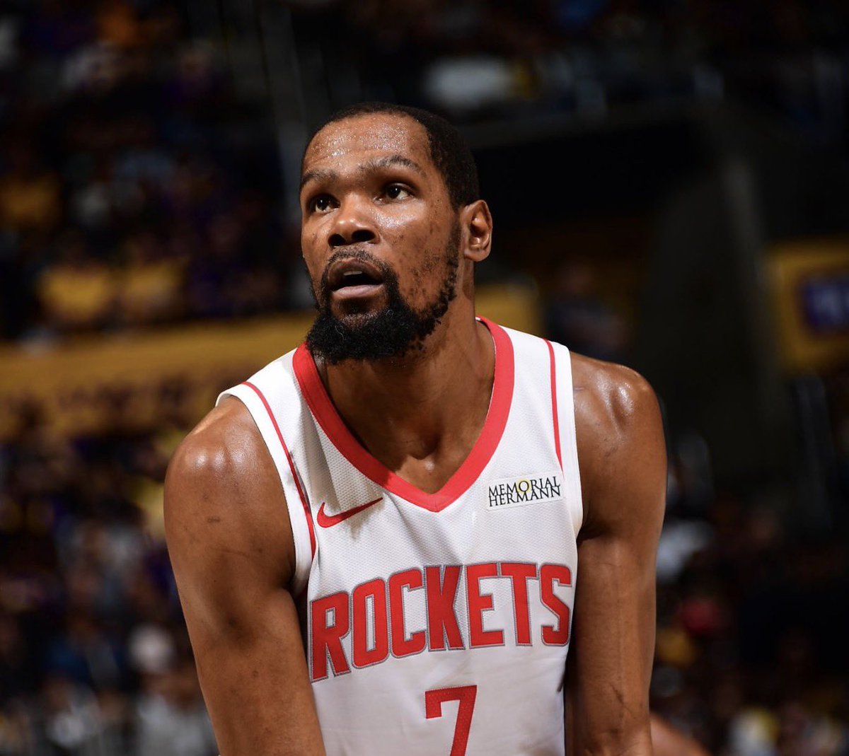 Bradeaux tweet media