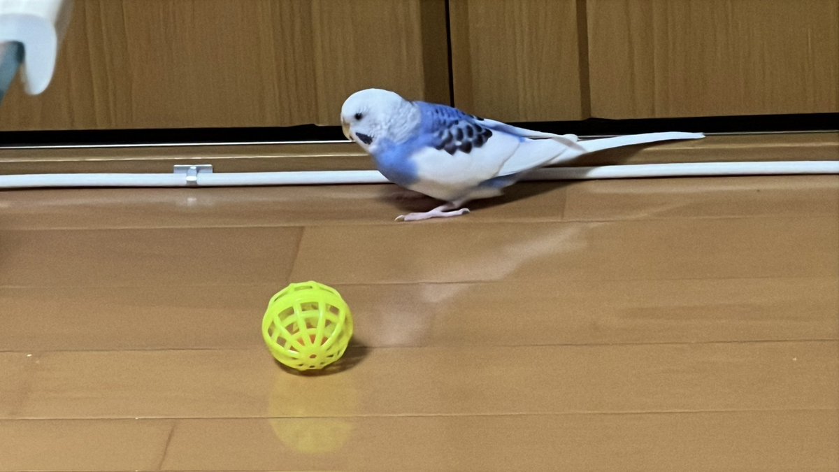 眞砂優希行政書士事務所 tweet media