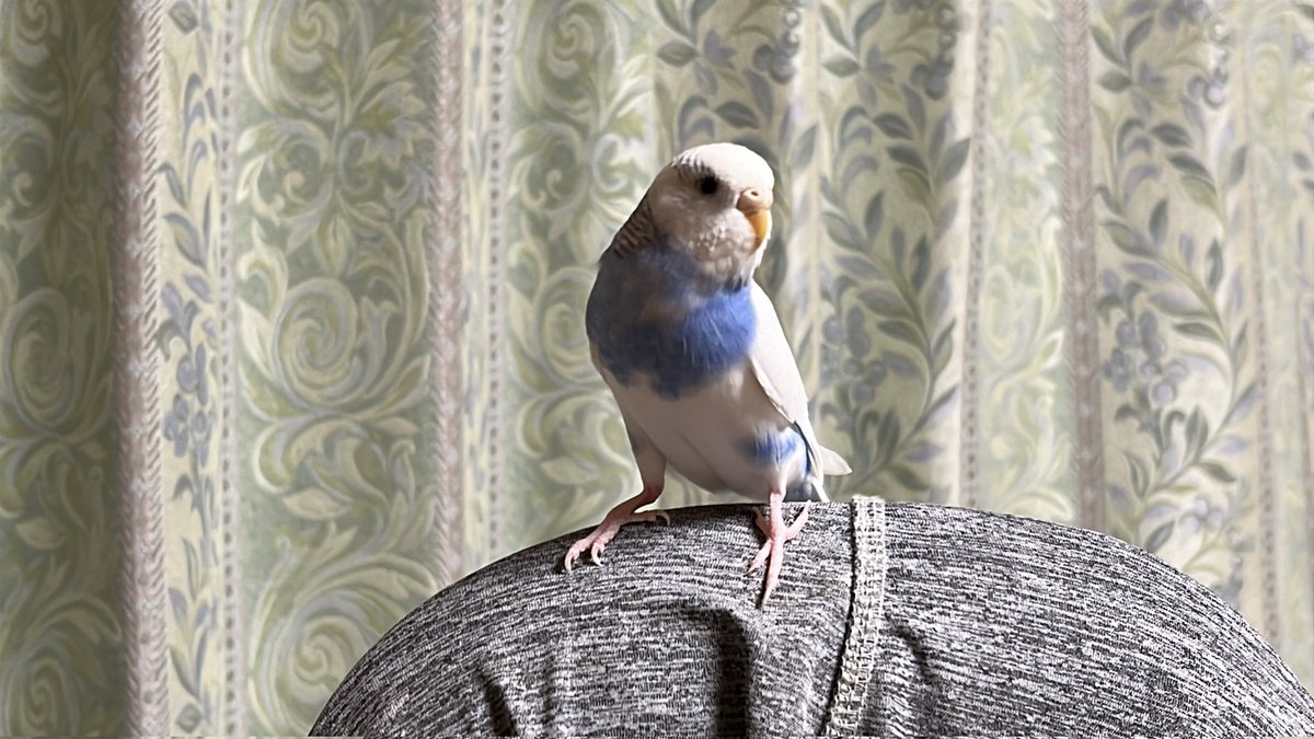 眞砂優希行政書士事務所 tweet media