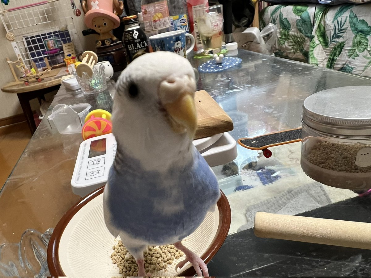 眞砂優希行政書士事務所 tweet media