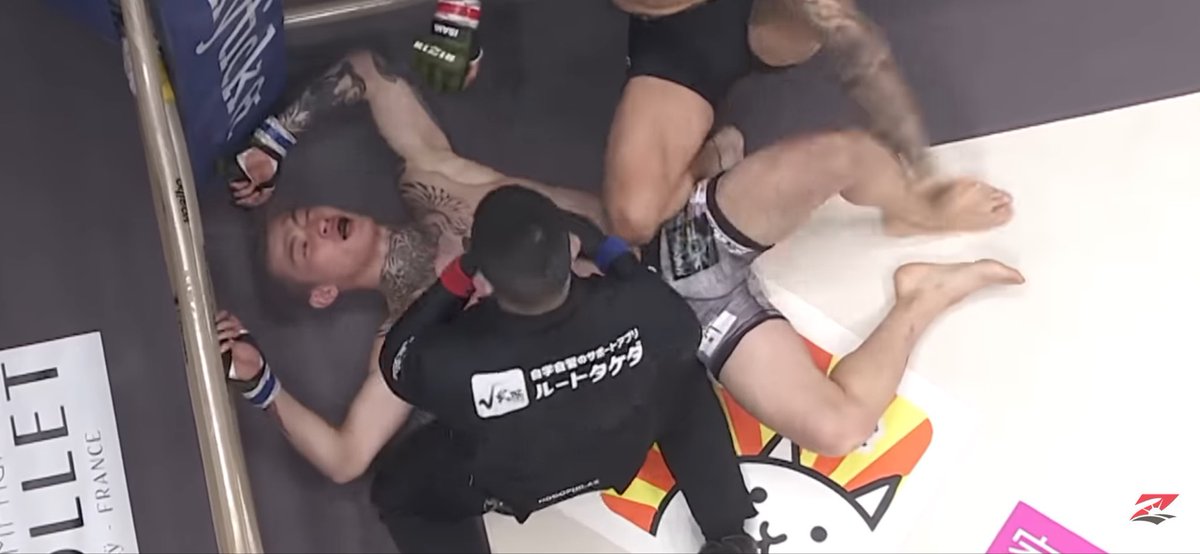 にゃひにゃひ？ tweet media