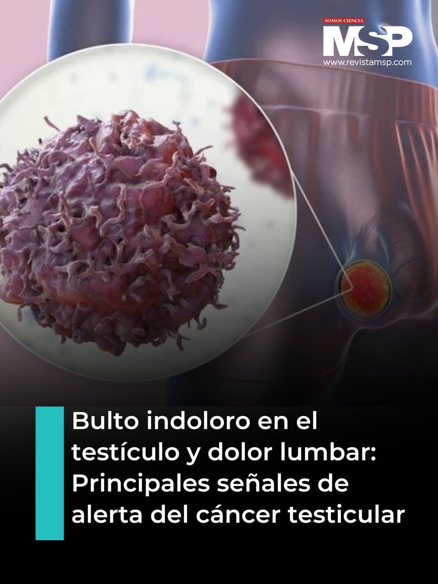 RevistaMSP's tweet image. #MSPOncología 🔎Conoce más aquí:
ow.ly/PiOA50YNCmT

#MSP: El lugar donde médicos, pacientes y profesionales de la salud pueden entrar. #SomosCiencia