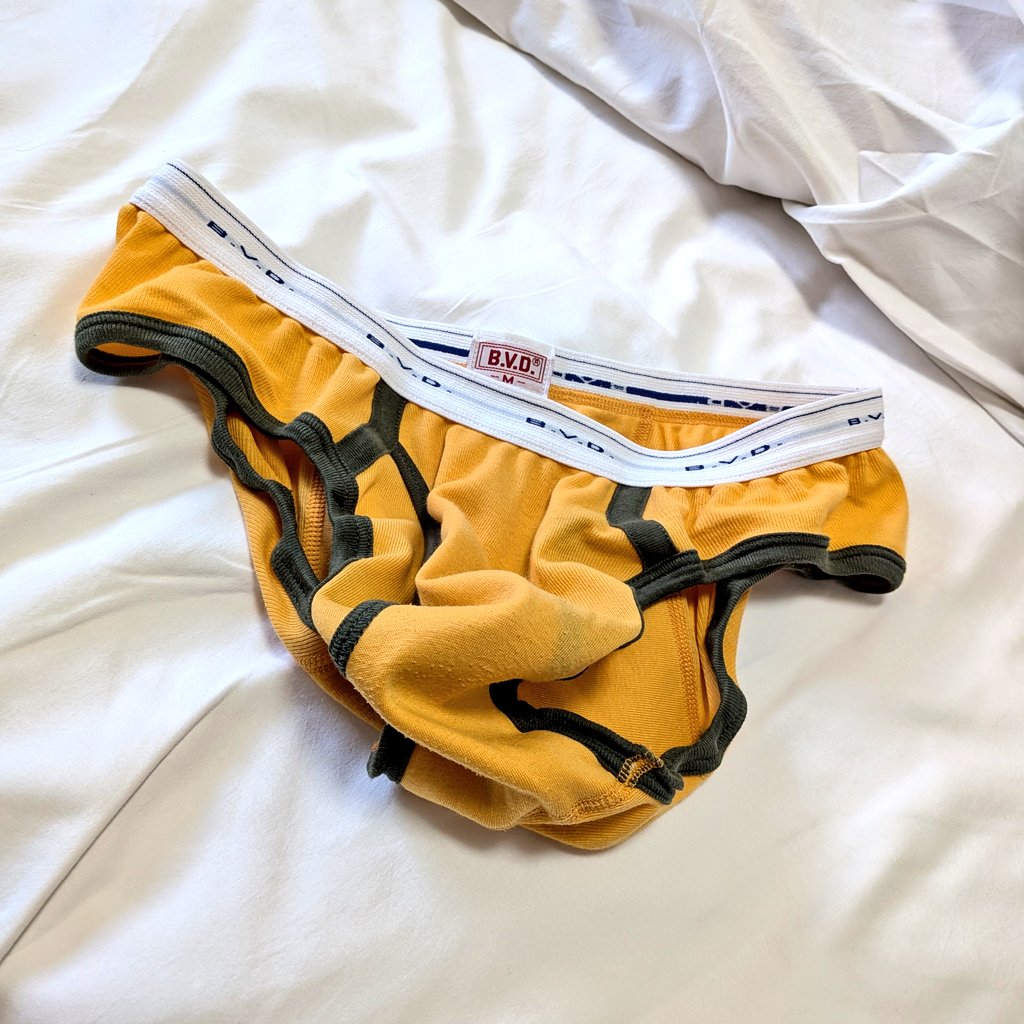 〽 さとし tweet media