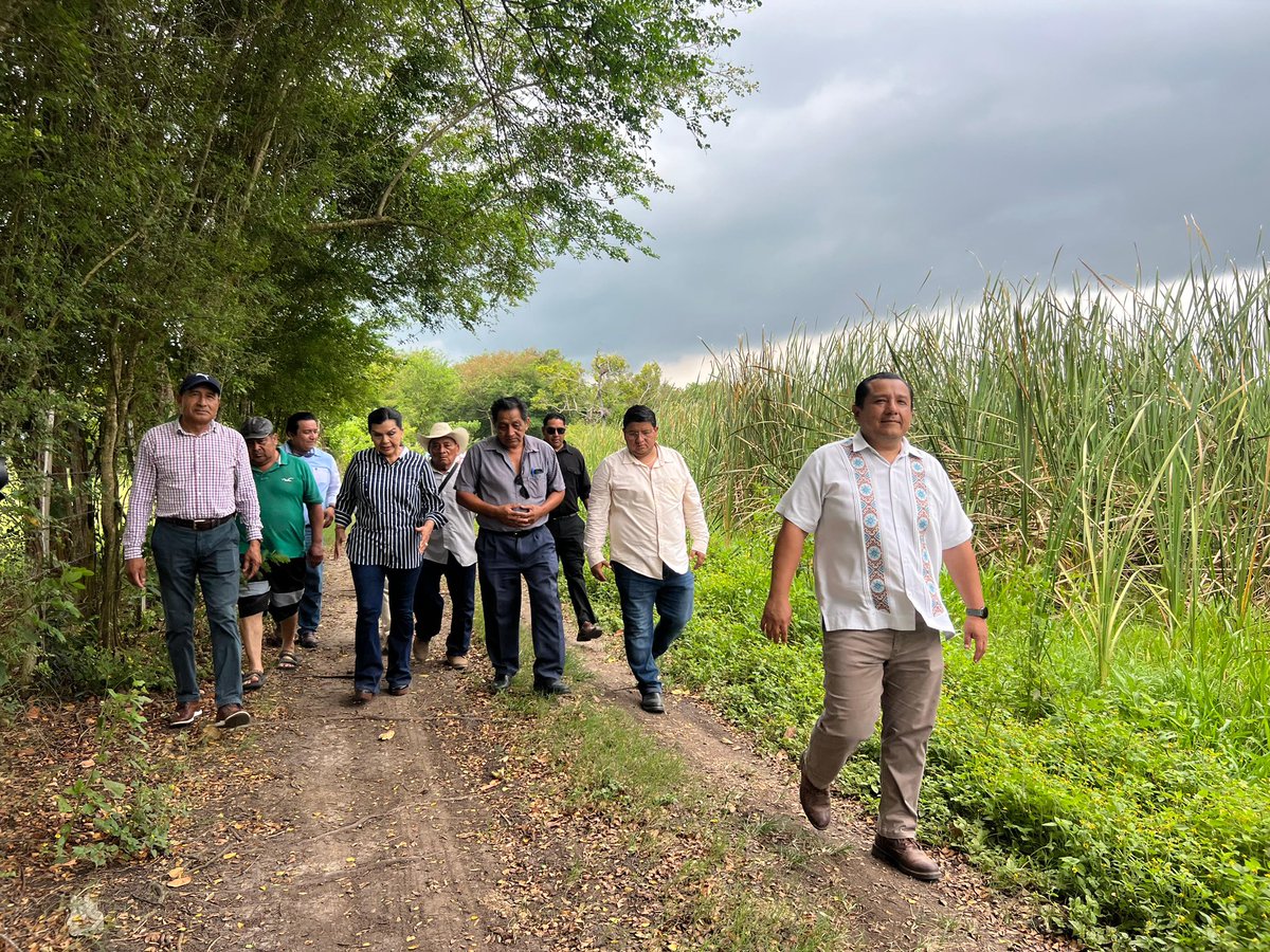 Johnny Magaña Regidor Centro tweet media