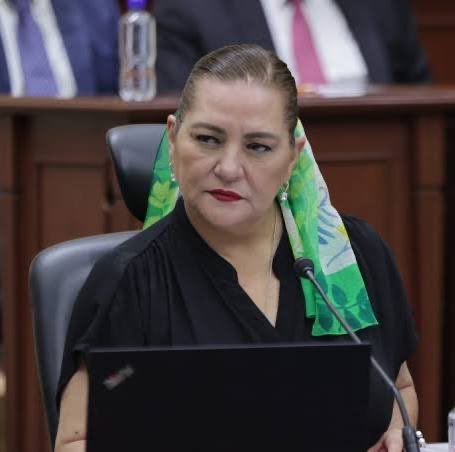 Esta señora en cuanto entró al INE se fue derechito al baño y en cuanto se mojó las manos, zas!!!, 10 familiares en el gobierno