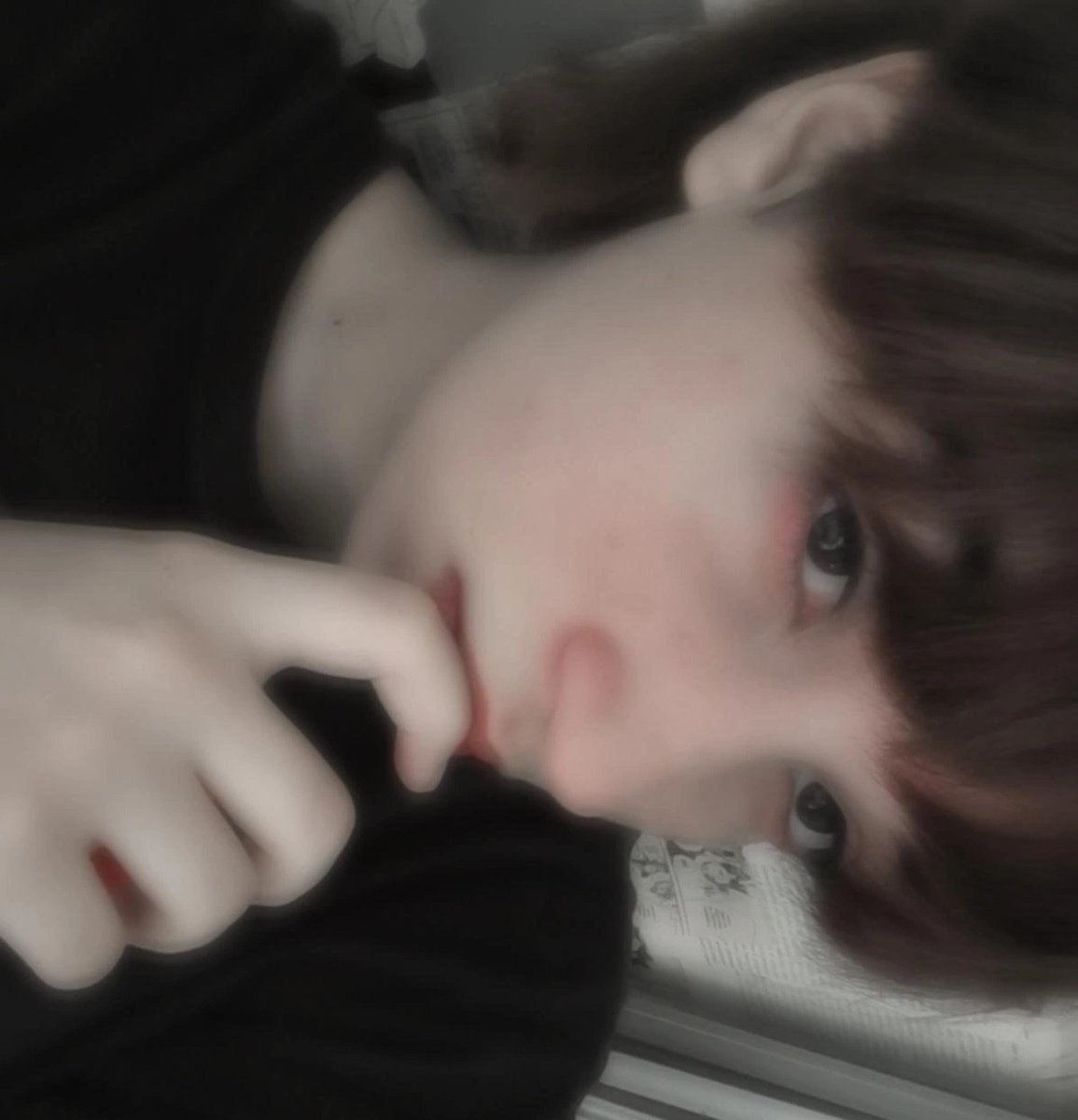 NONOH | seungmin sem coleira 🐶📿 tweet media