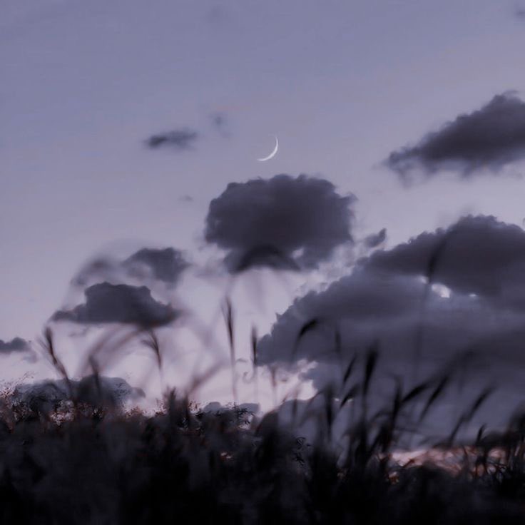 ビンダ tweet media