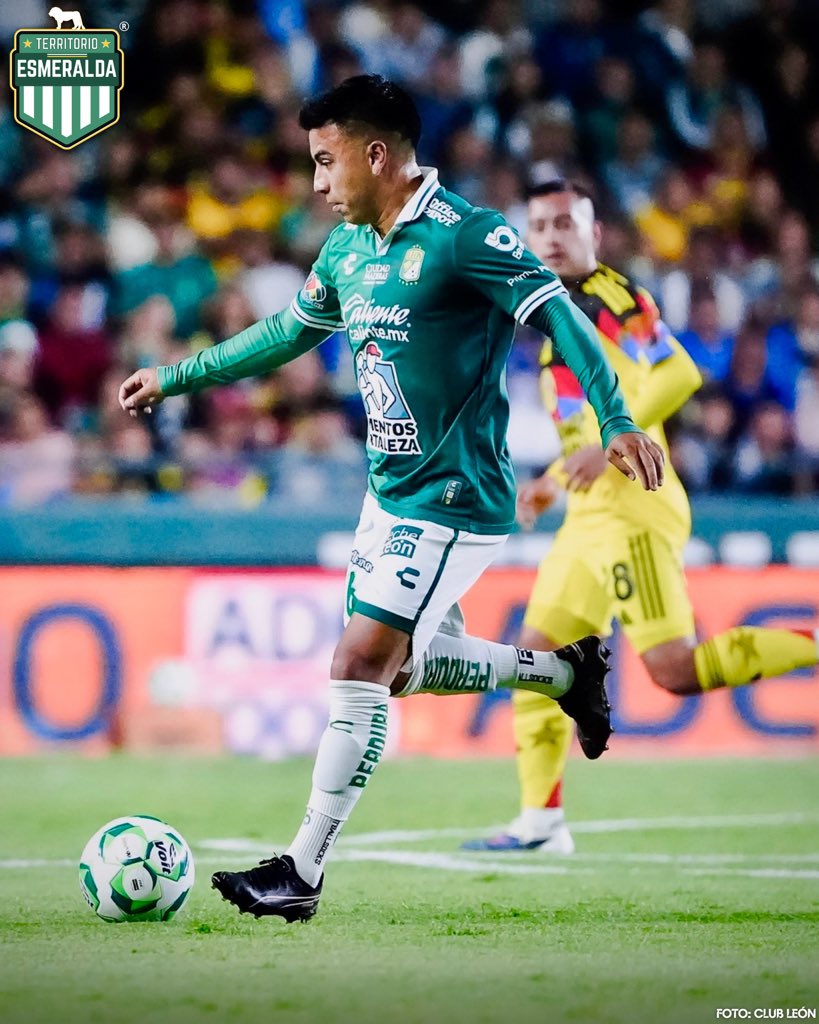 Territorio Esmeralda tweet media