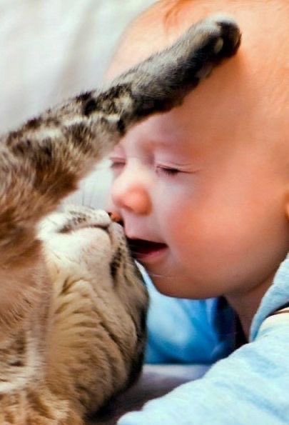 Rebeka80721106's tweet image. Diffondi amore ovunque Tu vada”.MT
@DonatoMarinelli @Dida_ti @DavLucia @albertopetro2 @SalaLettura @Mercurimc @sorridicncausa @672Cilia @scimonelli @redne2013 @Biagio960 @giusyoni @Dedalus12470353
#BuongiornoATutti❤️
#GoodMorningEveryone #WednesdayMotivation🌺
#BomDia
#22aprile