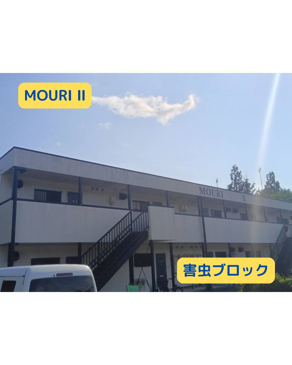 ＭＡＸメディエイト株式会社 tweet media