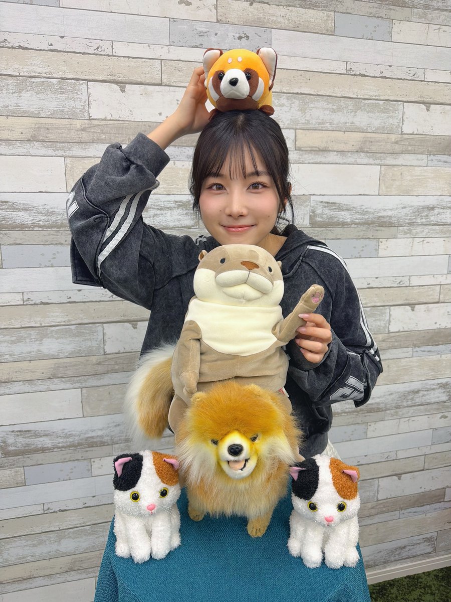 インターネットラジオステーション音泉 tweet media