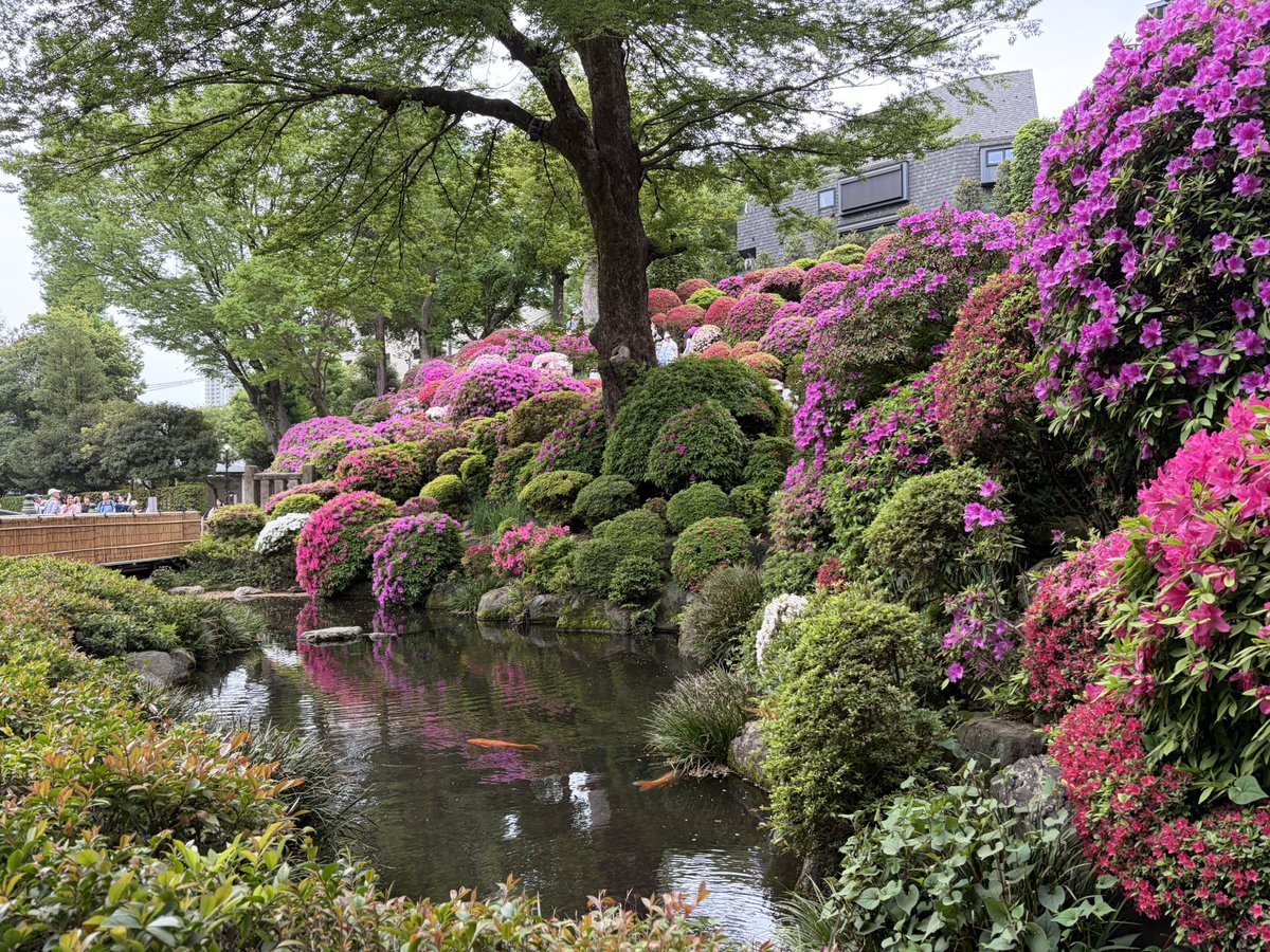 テンパ tweet media