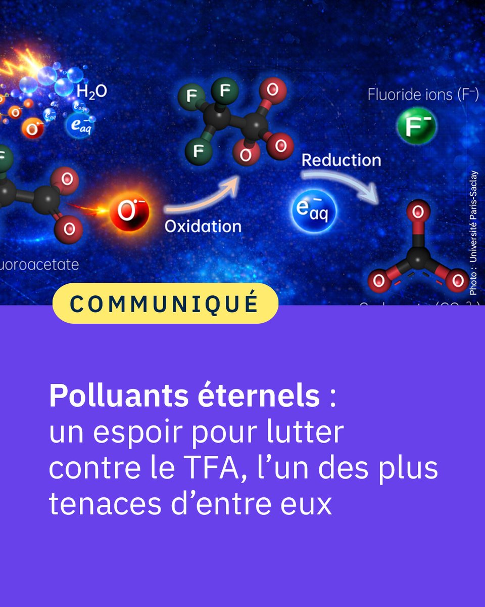 CNRS 🌍 tweet media