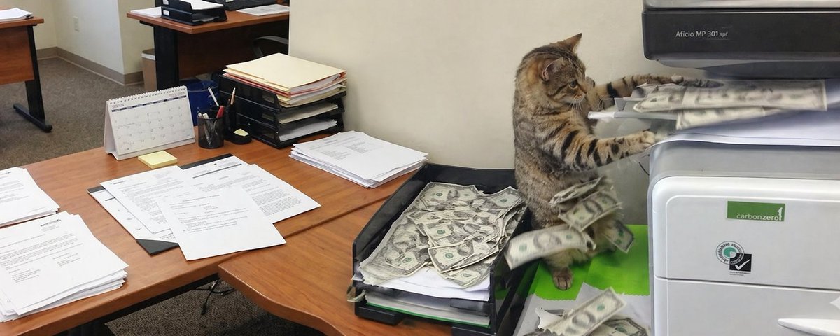 genpmeme's tweet photo. Printrcat just getting started on @printr - mission is clear for $prrr, just leaving this here for now 👀👀 https://t.co/SH6lP5y2fV