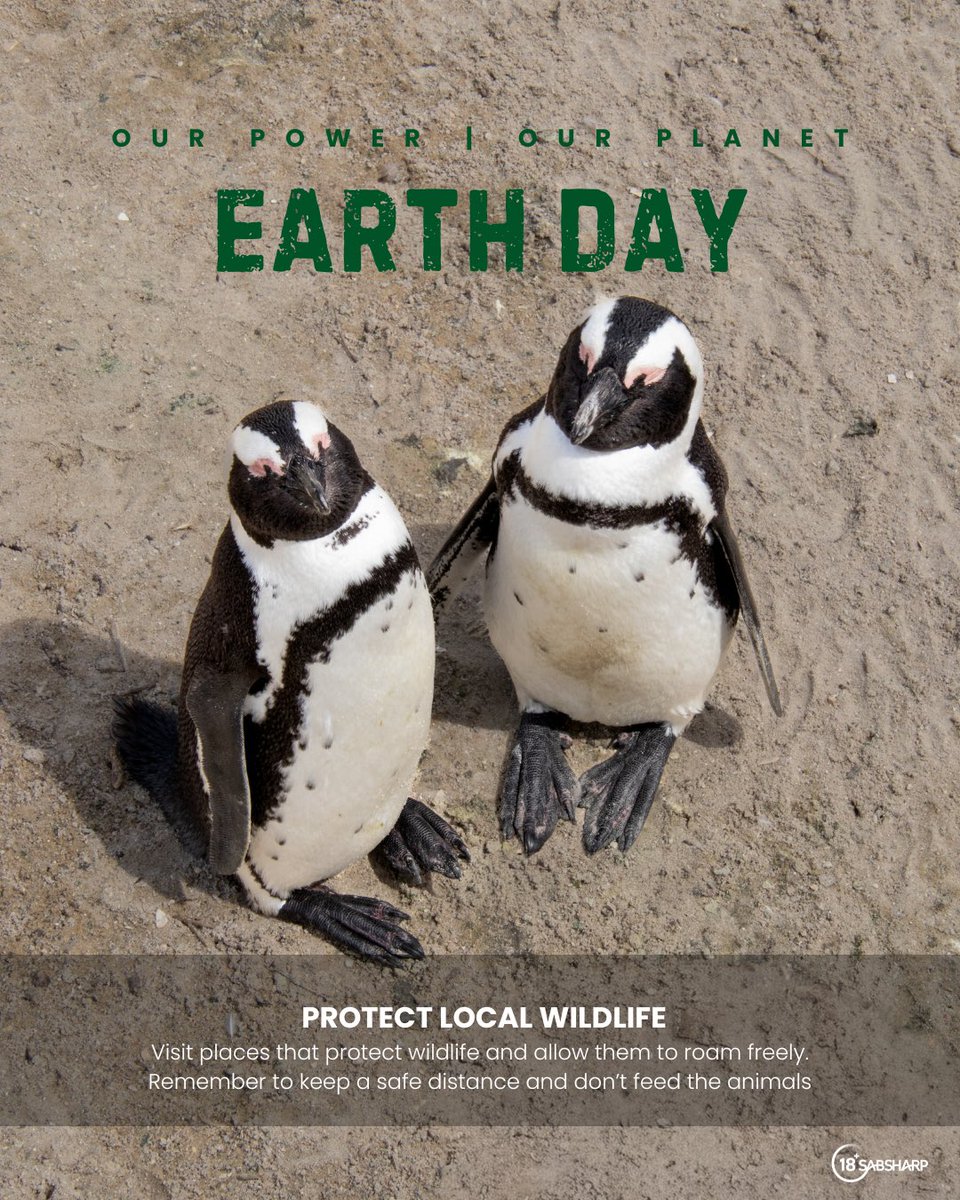 Tebogo_PinPin's tweet photo. Today it’s World Earth Day, and to celebrate this day doesn’t need to be complicated. It’s really about doing small, meaningful things that connect you to the planet.

#EarthDay2026 #WorldEarthDay #WorldEarthDay2026 #ThisisLiving #ad https://t.co/OXMbOthkHz