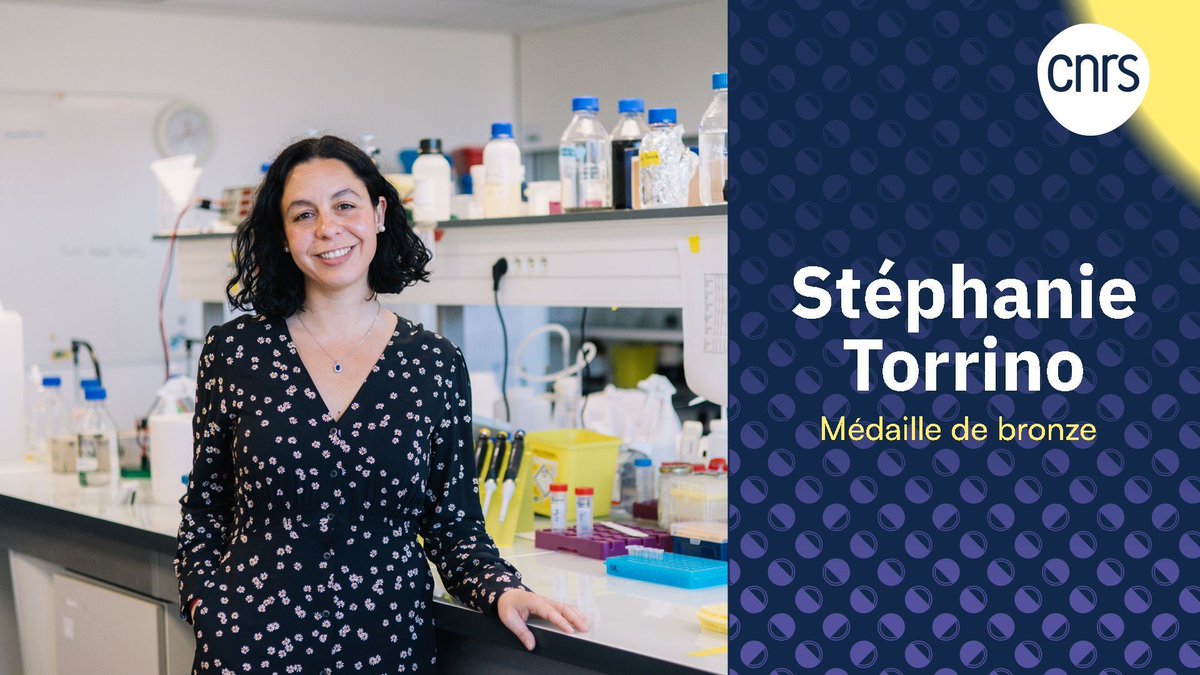 CNRSbiologie's tweet photo. 👤 Qui sont les scientifiques derrière les découvertes ?

@TorrinoSteph, médaille de bronze du @CNRS étudie comment les contraintes mécaniques reprogramment le métabolisme des cellules et participent au développement de pathologies comme le cancer.

👉 https://t.co/jrxCOtezu1 https://t.co/rJAcGE7CAi
