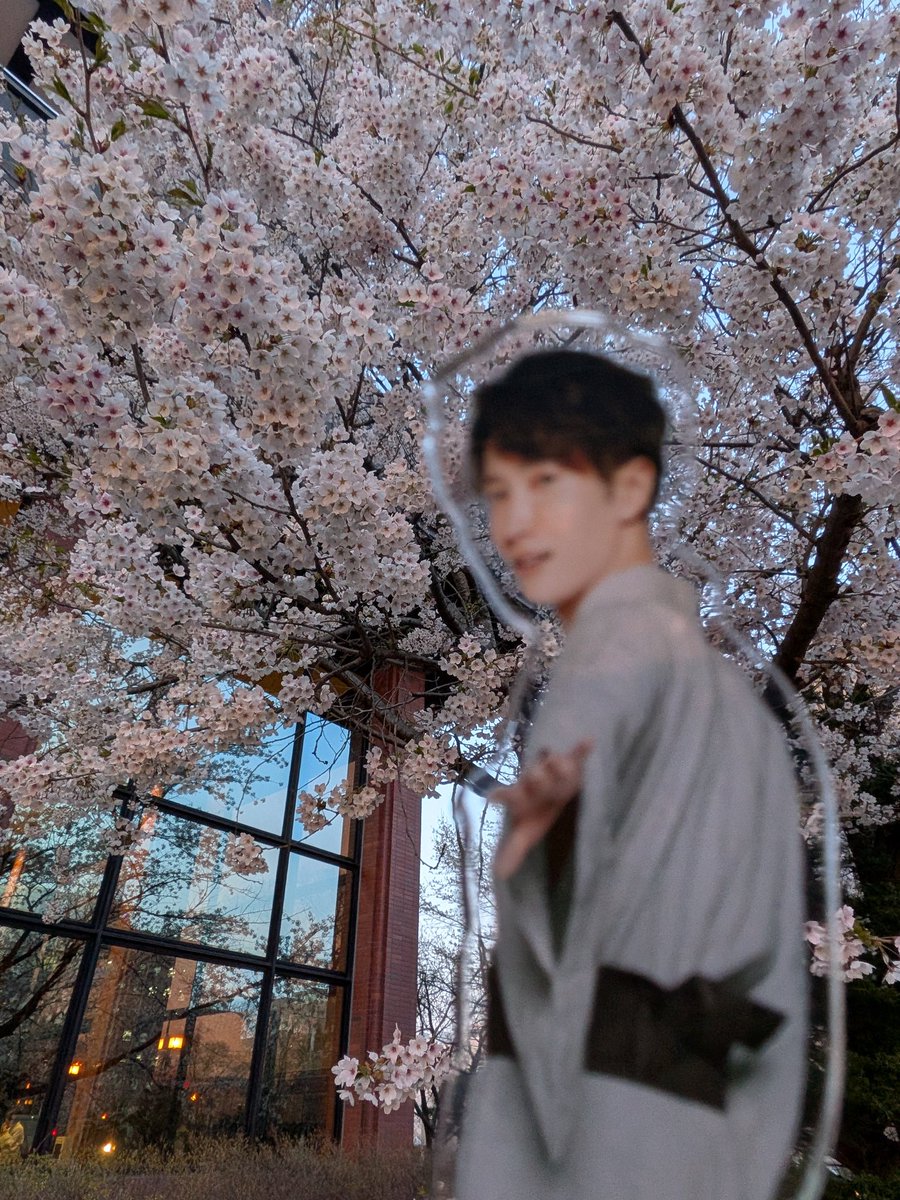 💙🧚‍♂️まみーターパン🧚‍♂️むめも🧚‍♂️💙 tweet media