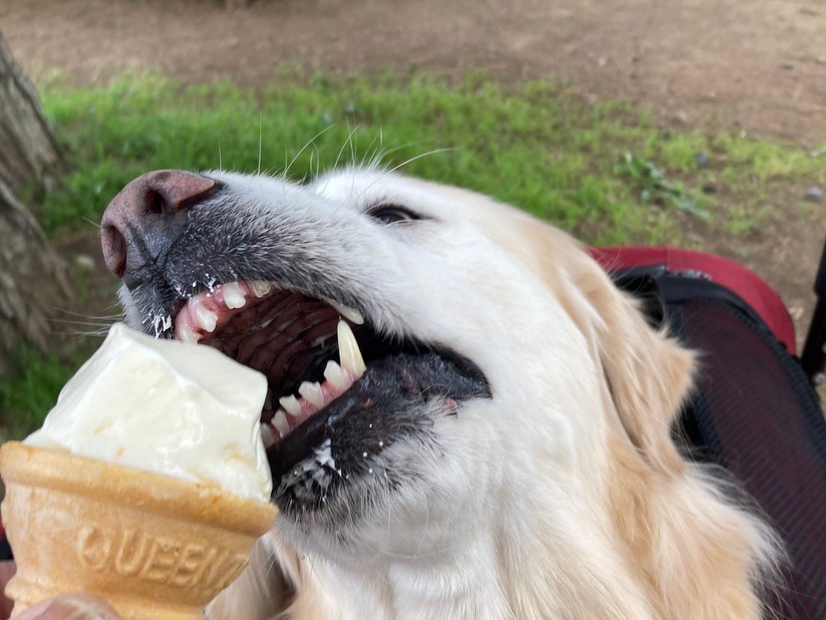 ひなっち0074 tweet media