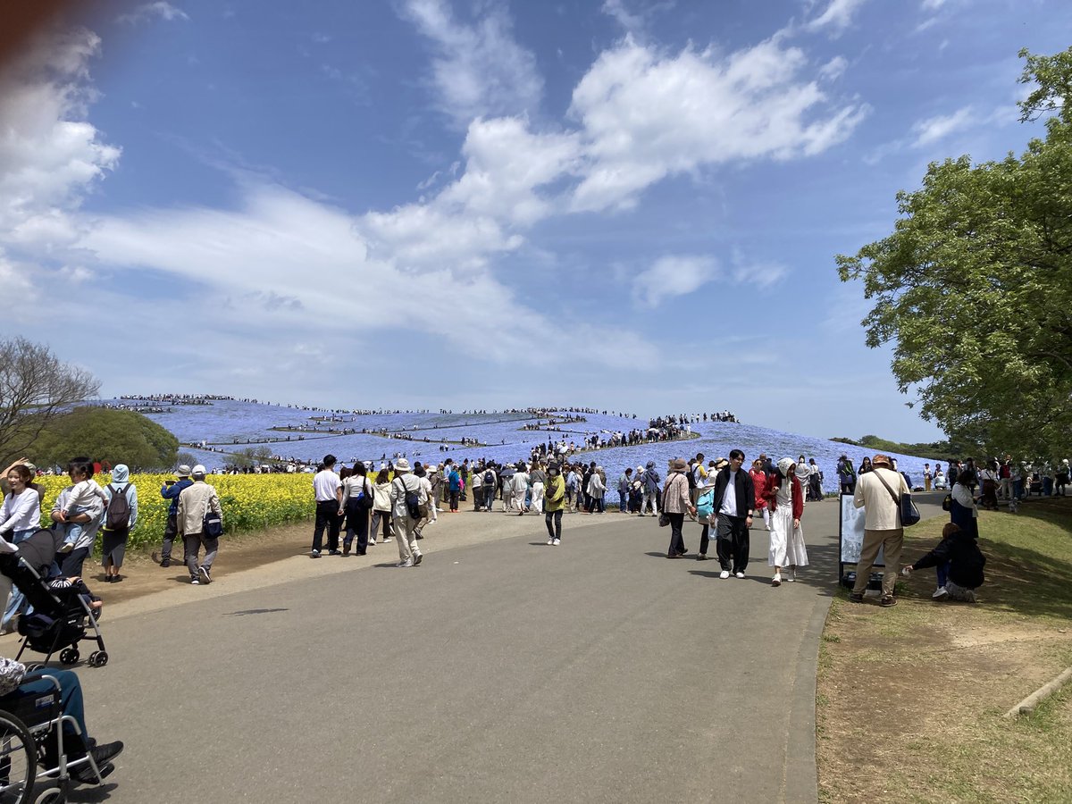 ひなっち0074 tweet media