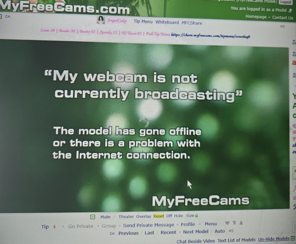 🩷AngelCake🩷 tweet media