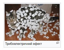 Skif Nomad 🇺🇦✊ tweet media