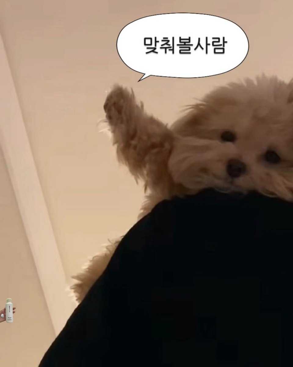 파파레서피 𝐩𝐚𝐩𝐚 𝐫𝐞𝐜𝐢𝐩𝐞 tweet media