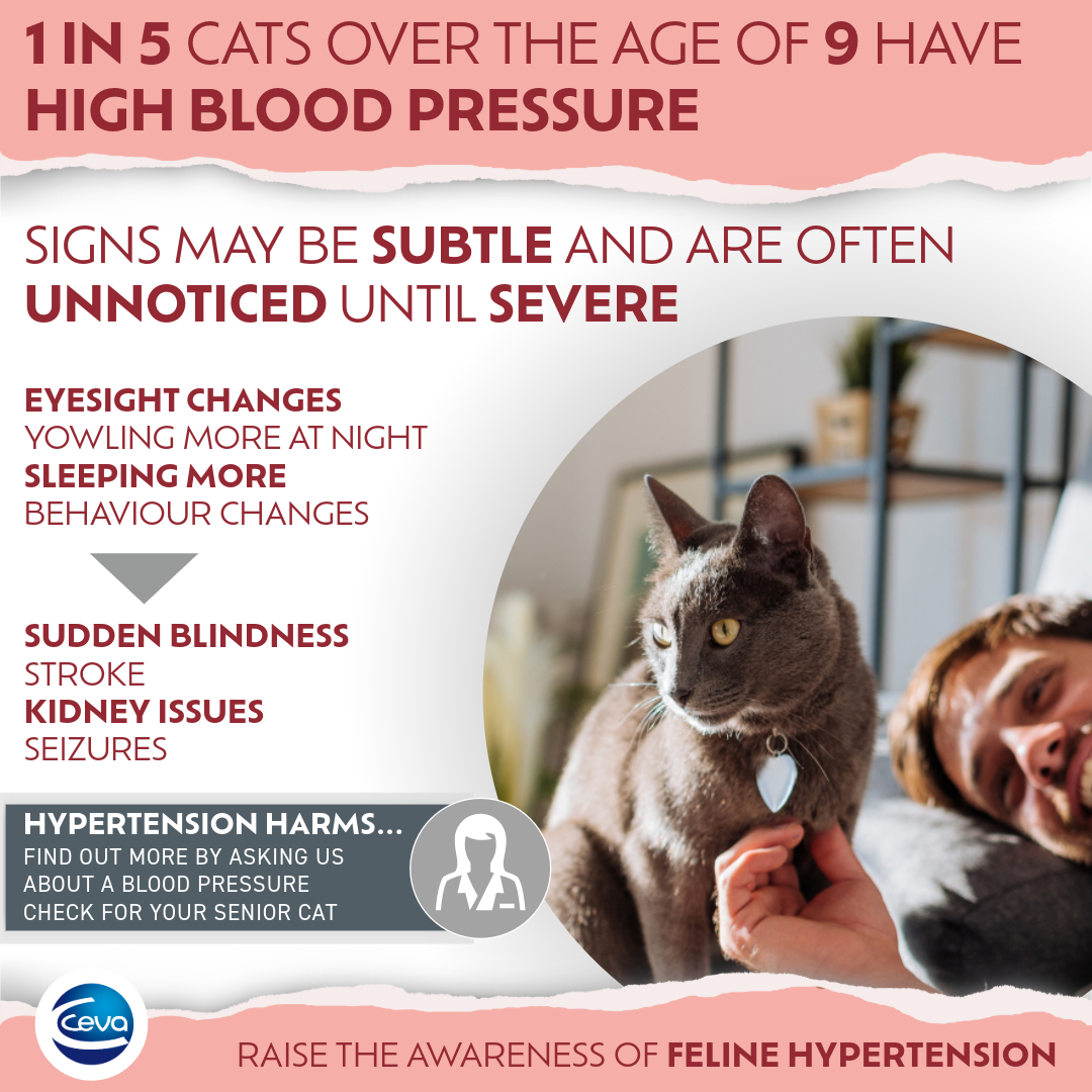 young veterinary tweet media