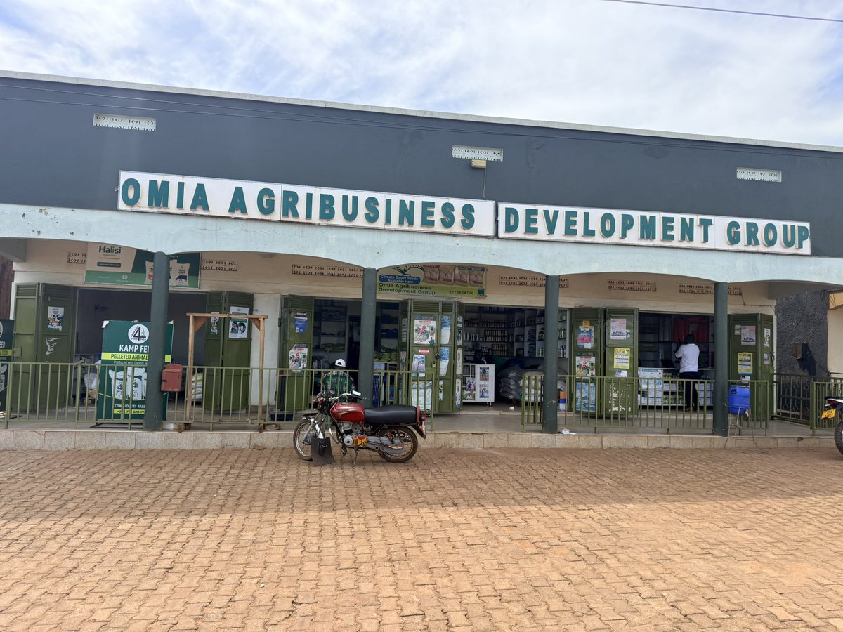 Omia🌽 tweet media