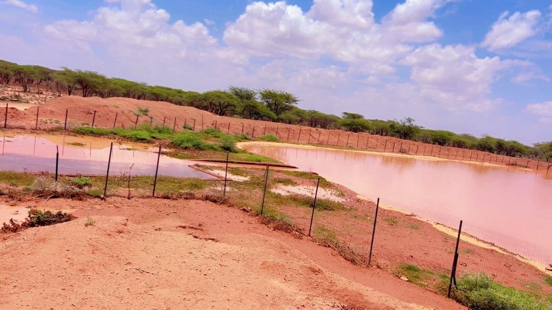 candlelightsom's tweet image. A new dam constructed by Candlelight in Masalaha Gorod village, Togdheer Region is now filling with lifesaving water following the recent rains, marking a significant milestone for the local community and their livestock.

#WaterForLife #CommunityResilience #WASH