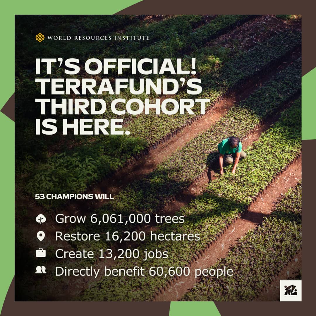 fesd1978's tweet photo. It’s official!  #TerraFund’s 3rd cohort is here! 
53 restoration champions across East &amp; West Africa will restore land, grow millions of trees and create thousands of green jobs. 
Impact: 🌳6M+ trees 🌱16K+ hectares  13K+ jobs 
Learn more: https://t.co/iRVaO9jyvY 
#RestoreLocal https://t.co/KCgXI5Ntj9