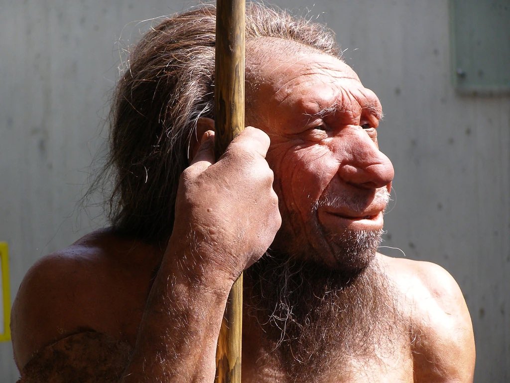 Priapus II tweet media