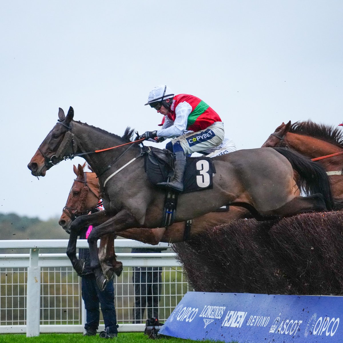 British Horseracing Authority tweet media