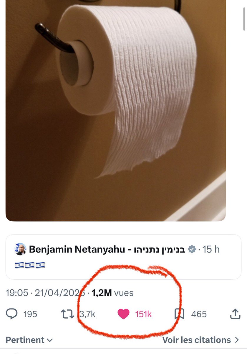 Fille De Pulpe tweet media