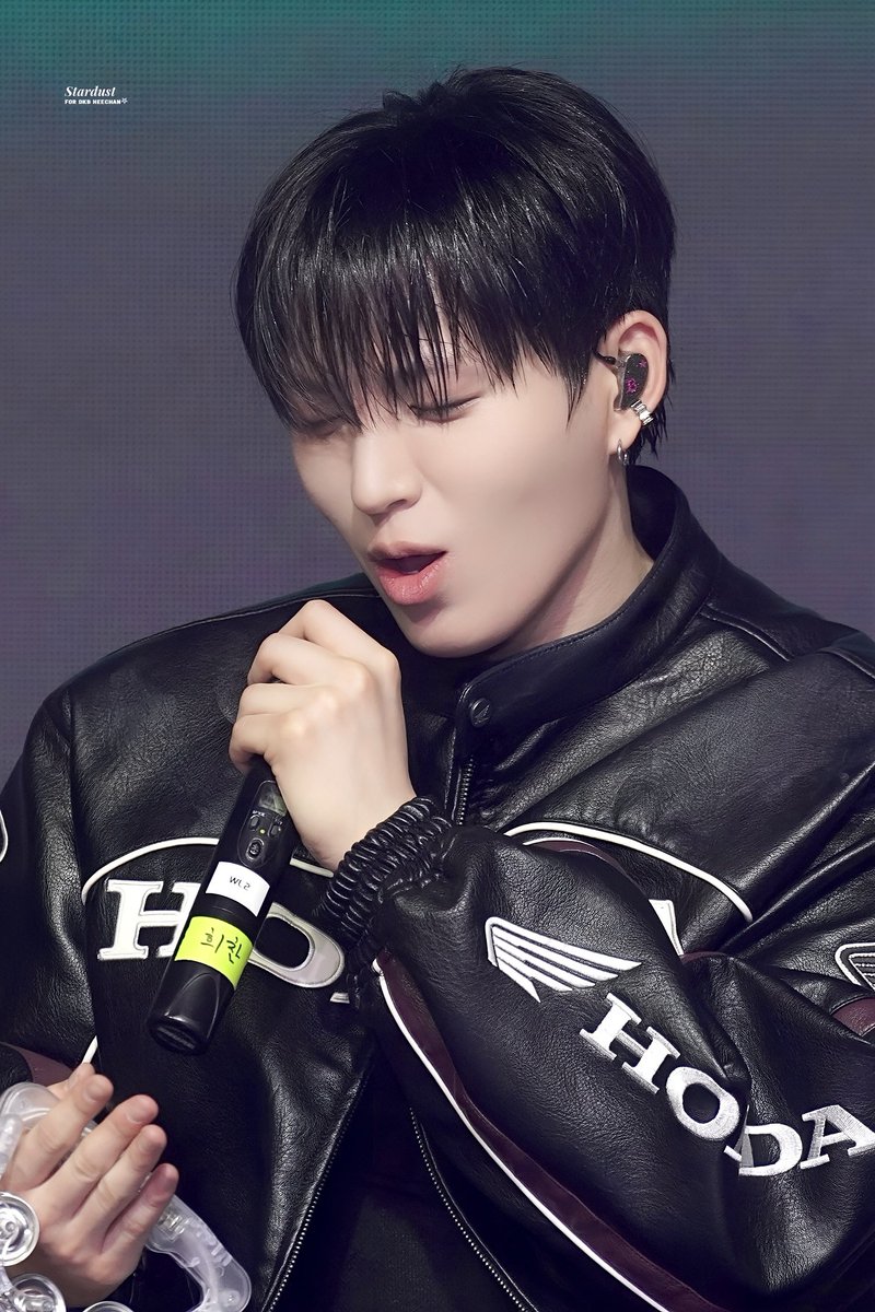 stardust tweet media