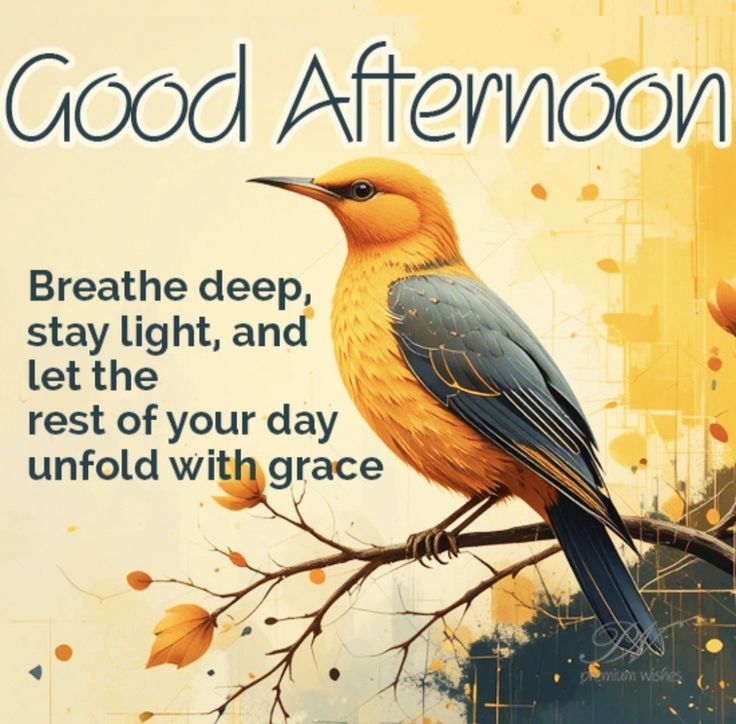 Miss Neha tweet media