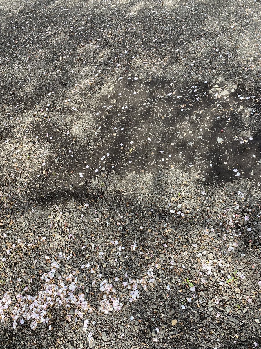 きつねつき tweet media