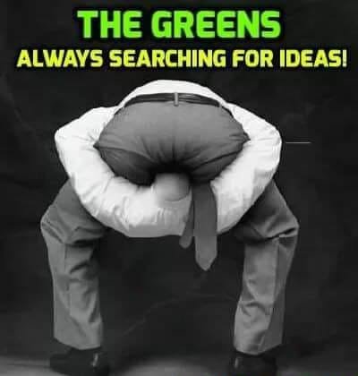 🇦🇺 Bushy 🇦🇺 tweet media