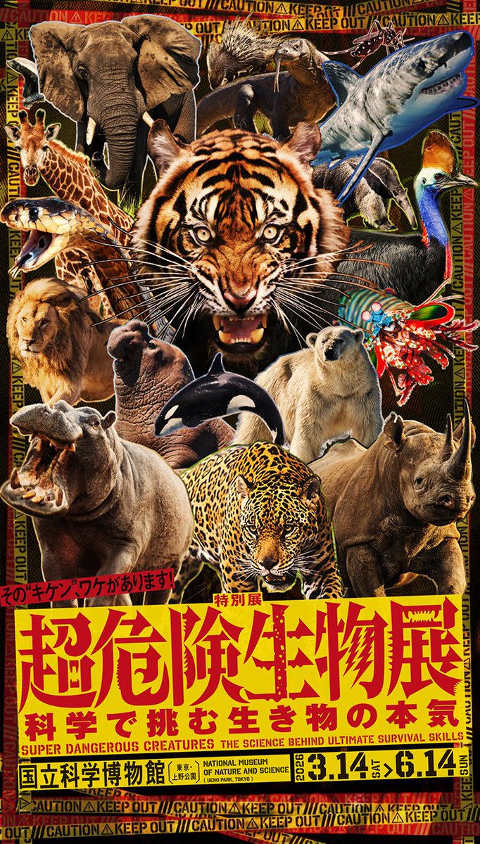 cyonsamami's tweet photo. 今日は病院帰りに１人待ち望んでた 
#超危険生物展 に行って来た☺️
平日なのに混んでた⤵︎
この世で１番苦手なジョーズがいて…
サメゾーンは飛ばしちゃった😅
陸の動物や吸血動物や毒系はじっくり👀
お土産買って昼ごはん買って〜
久しぶりに歩いて早回りで
なんかどっと疲れた😮‍💨
明日は働かないと💦 https://t.co/5NsMl1RAI1