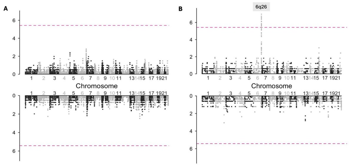 ScienceofPD's tweet image. Large GWAS in #Parkinsons found no genome-wide significant copy number variations were detected in the overall cohort (n=10,815), but a robust deletion spanning exons 2–6 of PRKN was identified in early-onset PD cases
nature.com/articles/s4153…