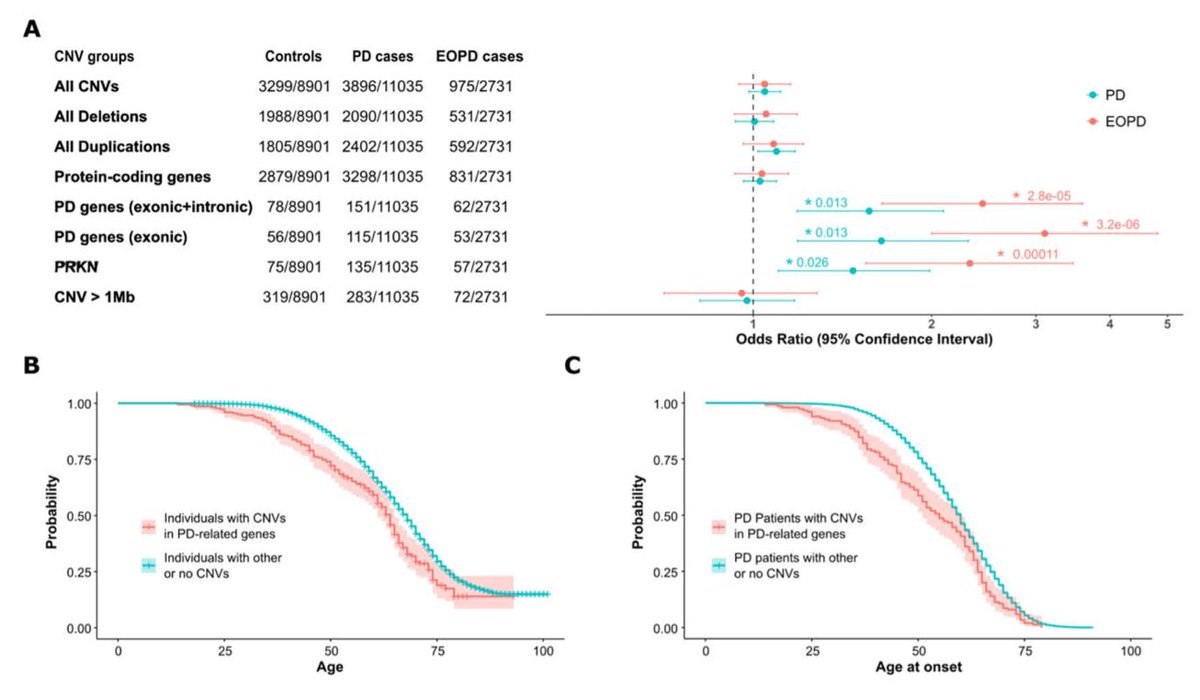ScienceofPD's tweet image. Large GWAS in #Parkinsons found no genome-wide significant copy number variations were detected in the overall cohort (n=10,815), but a robust deletion spanning exons 2–6 of PRKN was identified in early-onset PD cases
nature.com/articles/s4153…
