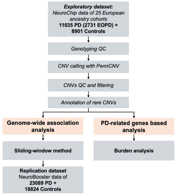 ScienceofPD's tweet image. Large GWAS in #Parkinsons found no genome-wide significant copy number variations were detected in the overall cohort (n=10,815), but a robust deletion spanning exons 2–6 of PRKN was identified in early-onset PD cases
nature.com/articles/s4153…